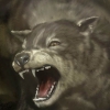 Xamonn